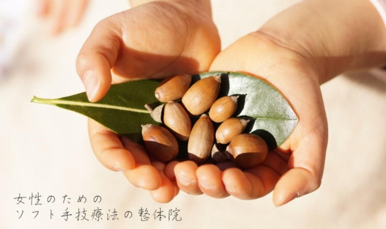 どんぐり整体院