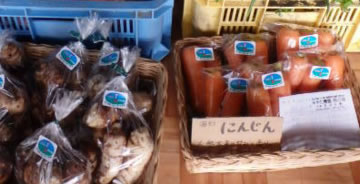 野の畑　宮田農園