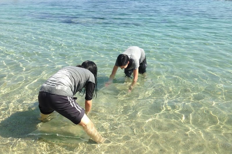 石鍋亭　周防大島　海水浴場